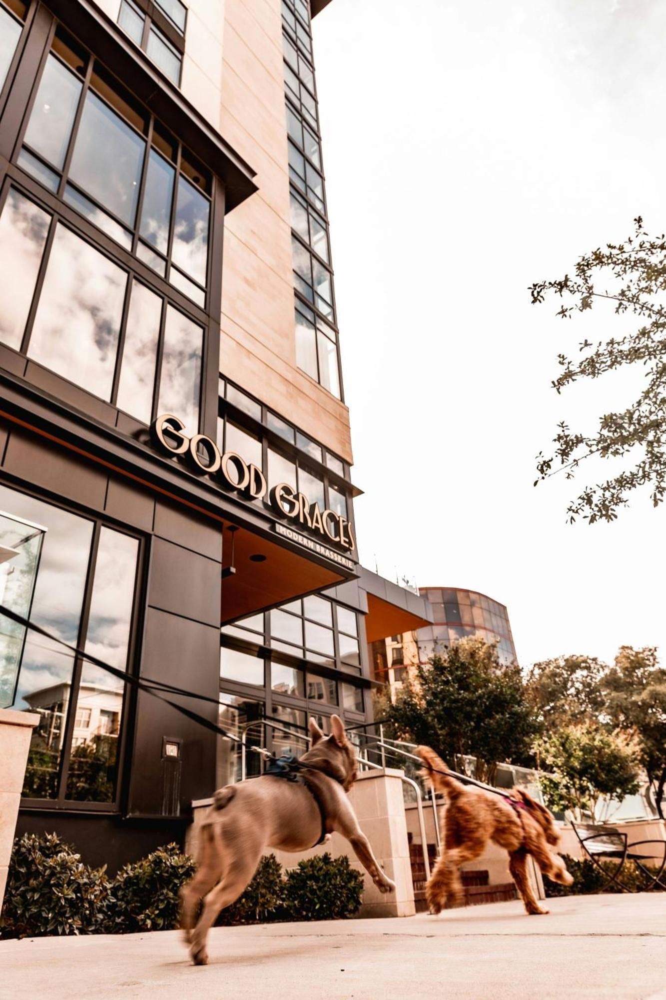 Marriott Dallas Uptown Ngoại thất bức ảnh